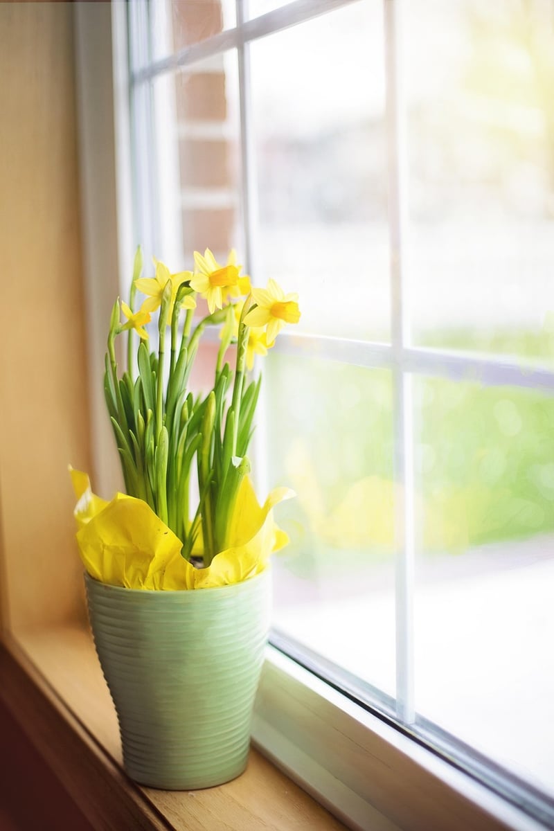Garden Decoration with Flower Pots